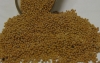 Mustard Whole