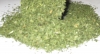Cilantro Ground